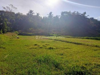 Pas Investasi Tanah Dekat Exit Tol Kulon Progo Jogja