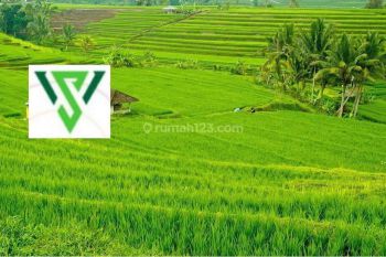 Tanah kavling murah 17jt/m Darmo Hill villa bukit mas