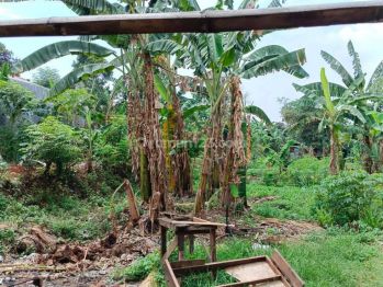 Tanah Luas Harga Termurah Cocok Untuk Townhouse