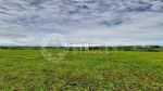 thumbnail-ladang-cuan-nih-pas-banget-buat-investor-kavling-luas-view-asri-bikin-kamu-kota-3