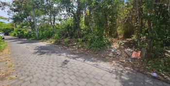 Dijual tanah premium langka di Bumbak Umalas