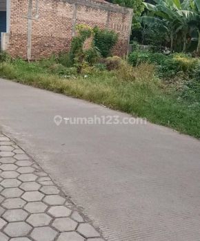 Tanah Kebun Pinggir Jalan Hadap Timur 210M² SHM