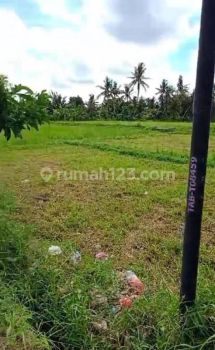 Hot List Di Jual Tanah Pinggir Jalan Lokasi Kaba Kaba Kediri Tabanan
