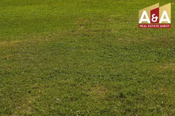 DIJUAL TANAH MURAH WILAYAH PROBOLINGGO