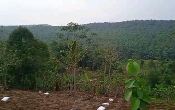 Tanah Dekat Tol Parungkuda Sukabumi