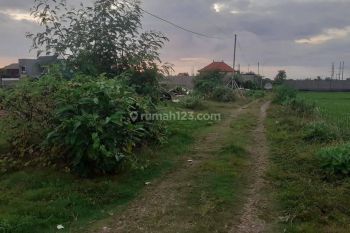 Tanah view sawah Sanur Denpasar Selatan Bali Indonesia