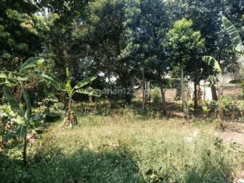 7 Menit Cagar Alam Depok Dijual Tanah Depok Siap Ajb Notaris