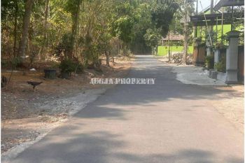 Selatan Kampus Uii Kaliurang, Prospek Bangun Kos, SHM P