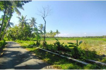 Tanah Dijual Timur Bandara Yia, Dekat Balai Desa Tawangsari