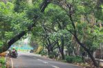 thumbnail-rumah-lama-hitung-tanah-di-metro-raya-pondok-indah-jaksel-5