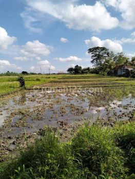 Dikontrakkan tanah 52 are di kaba kaba Kediri tabanan