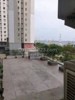 Sewa Super Murah 2br Bagus Oke Green Bay Pluit