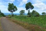 thumbnail-tanah-di-ranca-buaya-garut-dekat-jalan-provinsi-1