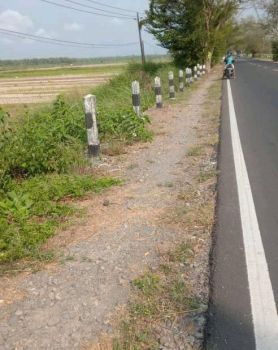 Di Jual Cepat 1481 Kuon Progo