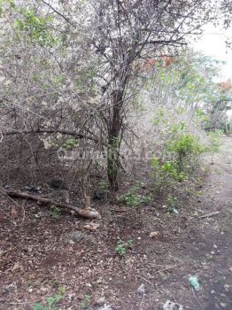 Hot List Di Jual Tanah Lokasi Jimbaran Kuta Selatan Badung