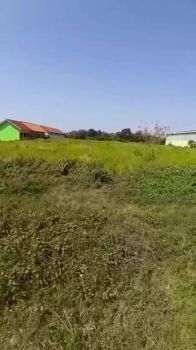 Tanah 5000 m di Plumbon