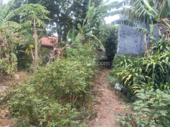 Tanah Murah Depok Bebas Banjir, Dekat Rsud Khidmat Sehat Afiat Kisa , Di Jamin