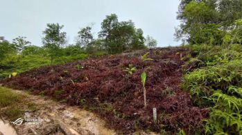 Dijual murah tanah, SHM, tanpa perantara.