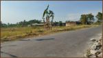 thumbnail-free-cicilan-bunga-tanah-jogja-pemda-sleman-jl-magelang-4