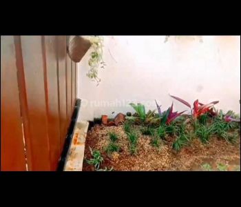 Disewakan Rumah Pajajaran Regency