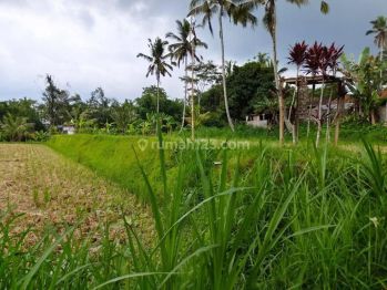 Dijual Tanah lokasi Tegallalang Utara Ubud view sawah