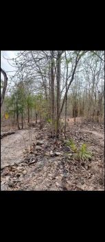 JUAL BU TANAH STRATEGIS AREA KULONPROGO