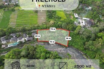 Dijual Tanah Dengan View Sungai, Hutan Sawah Di Nyanyi, Bali