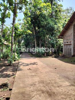 TANAH PRODUKTIF BONUS RUMAH DI SENDANGAGUNG, MINGGIR, SLEMAN