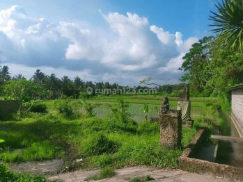 Hot List Termurah Di Kelasnya Di Jual Tanah Lokasi Kemenuh Ubud Gianyar