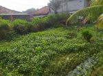 thumbnail-rumah-bangunan-lama-samping-harapan-indah-kota-bekasi-8