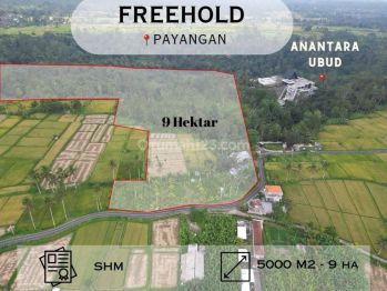 Dijual Tanah Dengan View Sungai Dan Sawah Di Payangan Ubud, Bali
