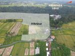 thumbnail-dijual-tanah-dengan-view-sungai-dan-sawah-di-payangan-ubud-bali-2