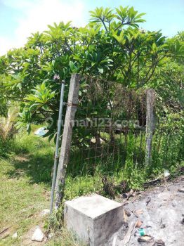 Di sewakan lahan kosong strategis