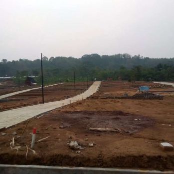 Tanah Kavling Murah Bonus Bibit Anggur Dan Durian