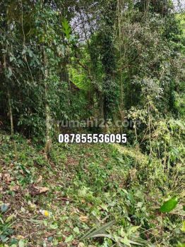 Dijual Lahan Istimewa di Ubud Dan Terdapat Mata Air