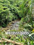 thumbnail-dijual-lahan-istimewa-di-ubud-dan-terdapat-mata-air-8