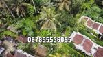 thumbnail-dijual-lahan-istimewa-di-ubud-dan-terdapat-mata-air-6