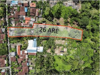 Tranquil Leasehold Land In Kedewatan, Ubud