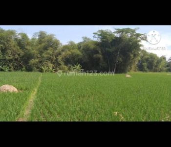 Dijual Tanah di Desa Sindangkerta Kabupaten Bandung Barat.