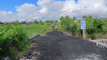 termurah harga promo!! Mengwi tabanan