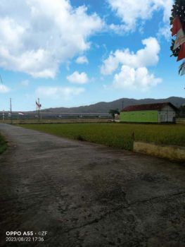 Tanah Dijual view sawah dan perbukitan Menoreh dekat Bandara YIA