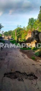 Jual Tanah 3 Are Lod Tunduh Ubud Gianyar