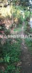 thumbnail-jual-tanah-3-are-lod-tunduh-ubud-gianyar-2