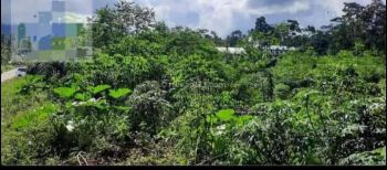 Tanah Strategis Disewakan Luas 7000m Lokasi Boyolali