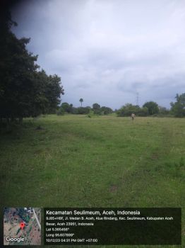 Dijual tanah (cepat) 2 hektar tanah murah bisa nego