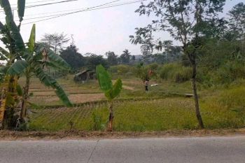 Dijual Tanah Cocok Utk Perumahan Dan Pertanian Dijalan Kabupaten Tajur Citereup