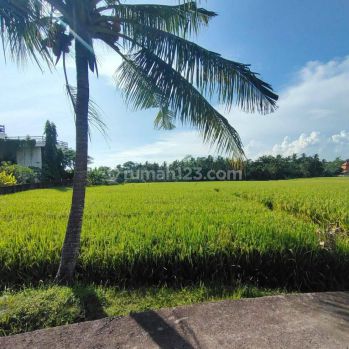 Hot List Di Jual Tanah Lokasi Cemagi Mengwi Badung