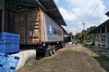 Dijual Pabrik Kayu Di Lumajang Jawa Timur