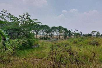 Kavling murah di Griya Mitra Sari  Bojong Kelapa Nunggal Jonggol