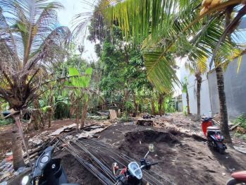 Land for lease wit river view close to Canggu area